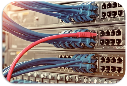 Data servers with red and blue CAT5 cables