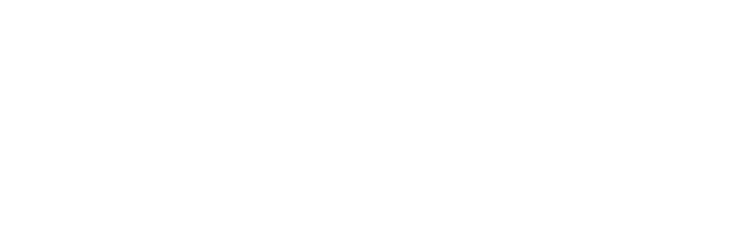 IMARK Logo